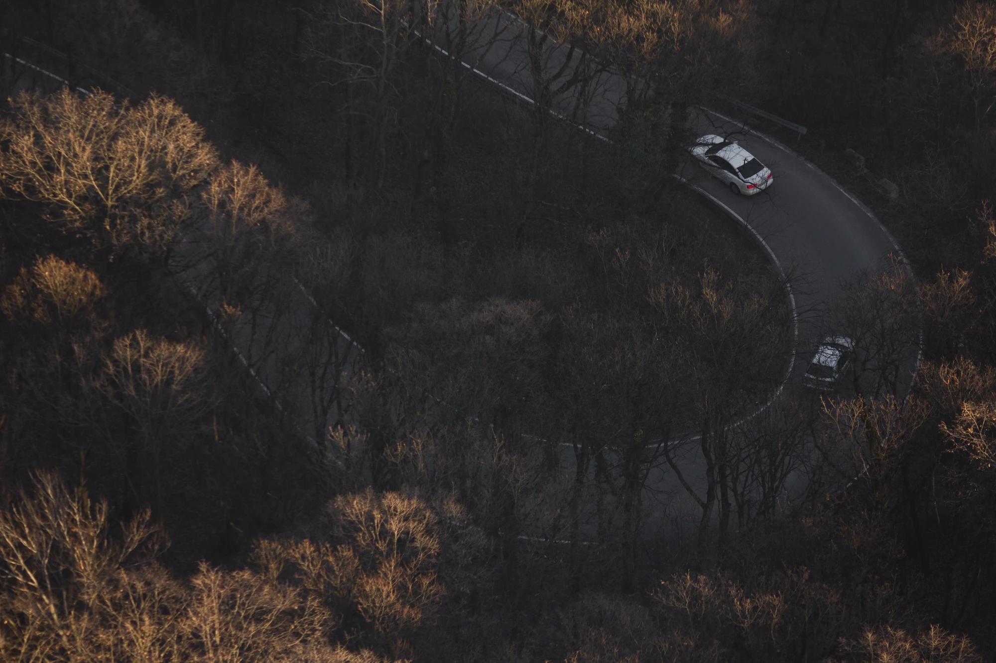 A U-turn in the middle of a forest