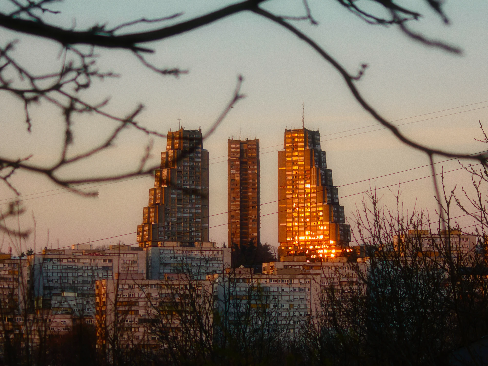 Sunset light reflecting on tall skyscrapers, framed by bare tree branches in the foreground