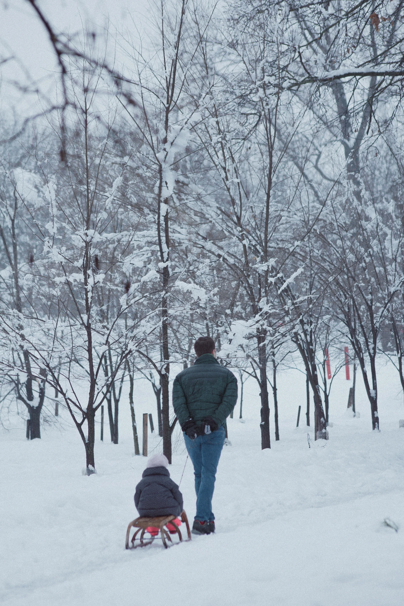 Father pulling his daughter on a sledge