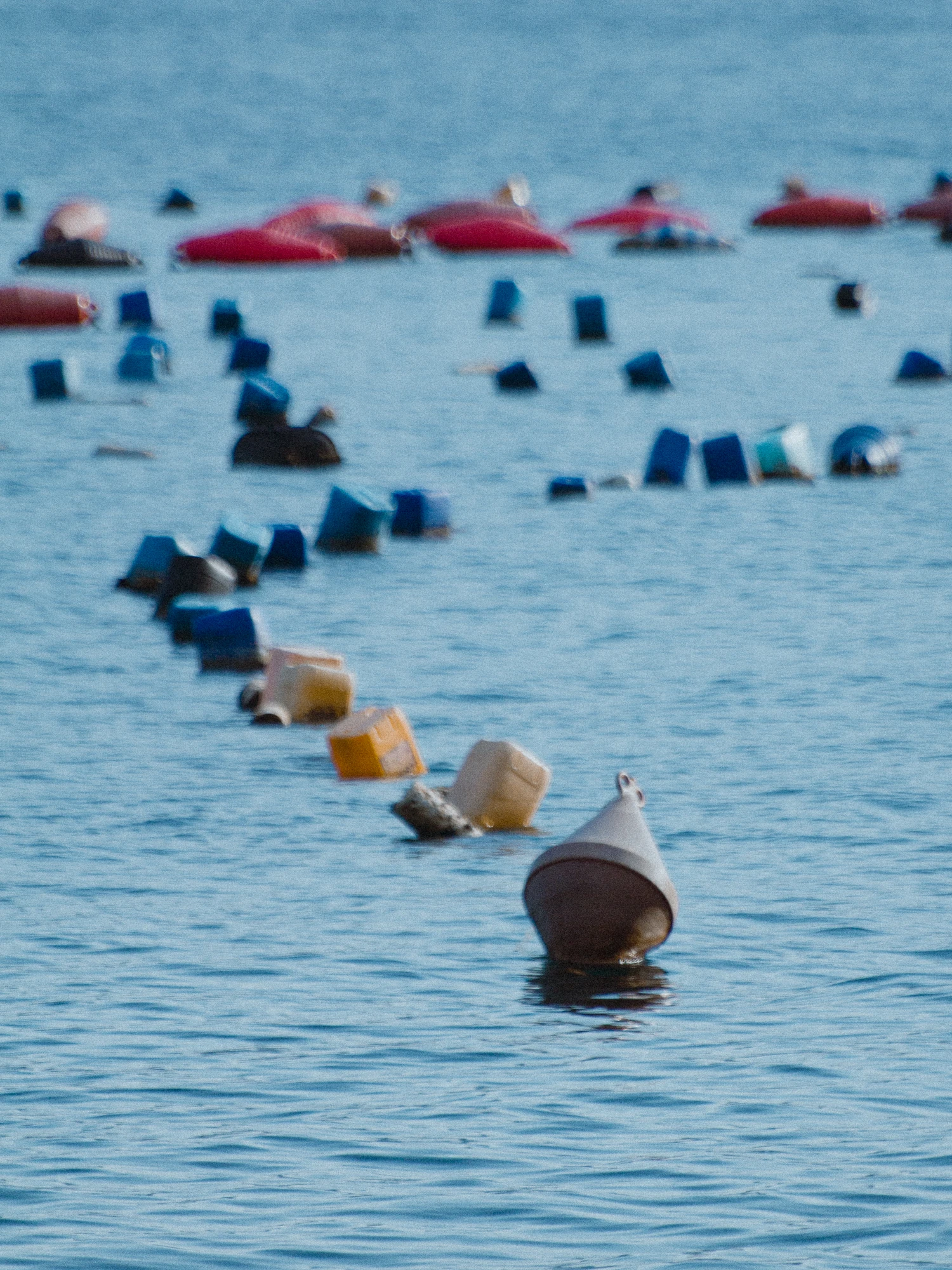 Many buoys in the sea