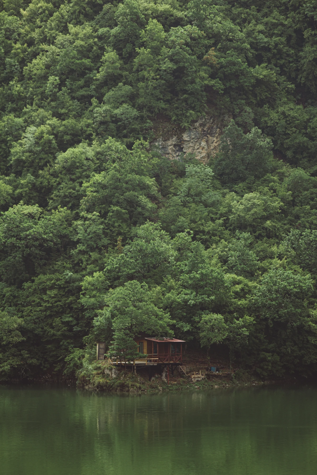 A little wooden house at the edge of a forest on a river